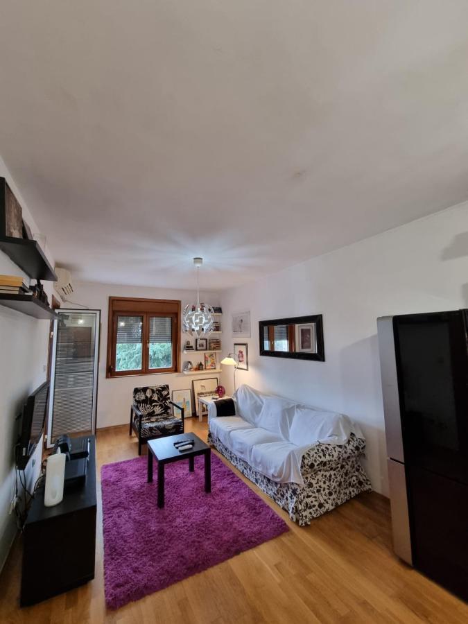 One Bedroom Centre Apartment Подгориця Екстер'єр фото